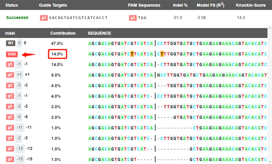 EZ-editor GAS小工具分析出同源重组基因型分析结果