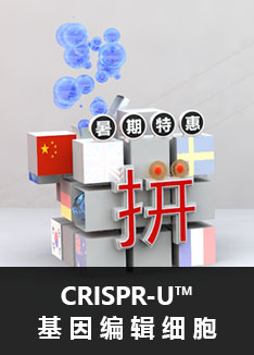 CRISPR-U™基因编辑细胞